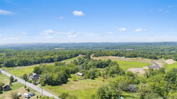 a view of a city with lush green forest
