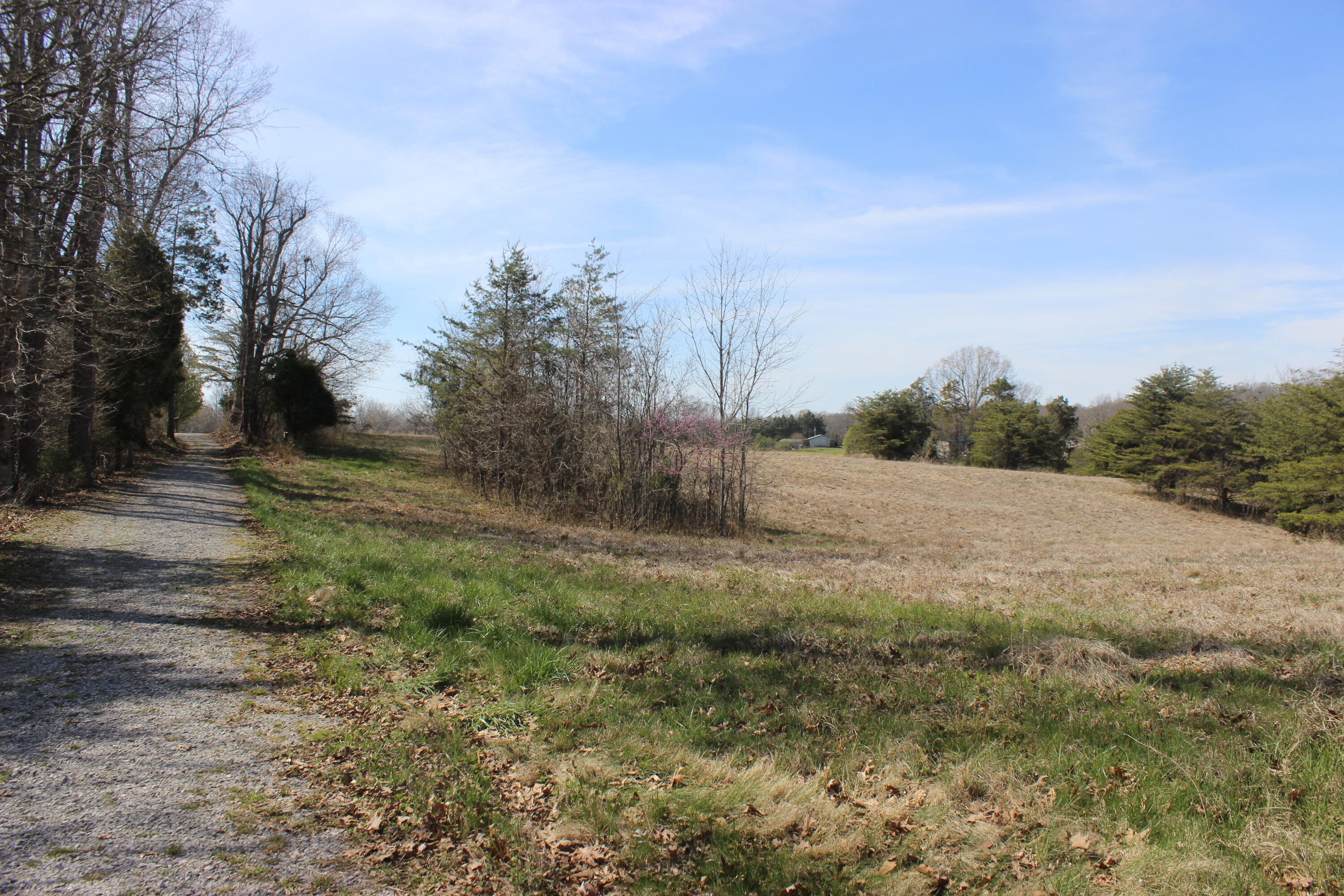 0 Edwards Road Princeton, KY 42445 - Photo 20 of 33 IMG_7644