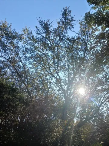 $29,000 | 0 Windinghill Road, Ocala, FL 34471