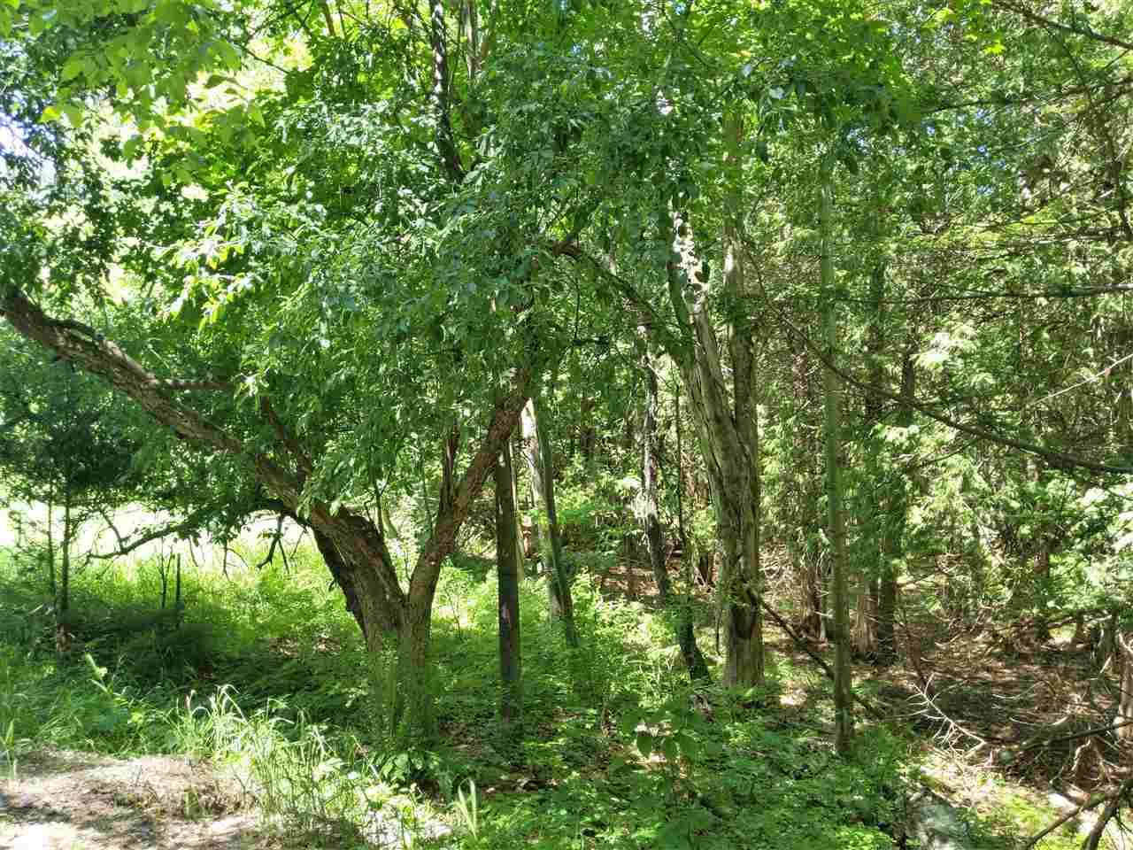 Burnt Mill Road Interlochen, MI 49643 - Photo 25 of 25 1863508-24.JPG