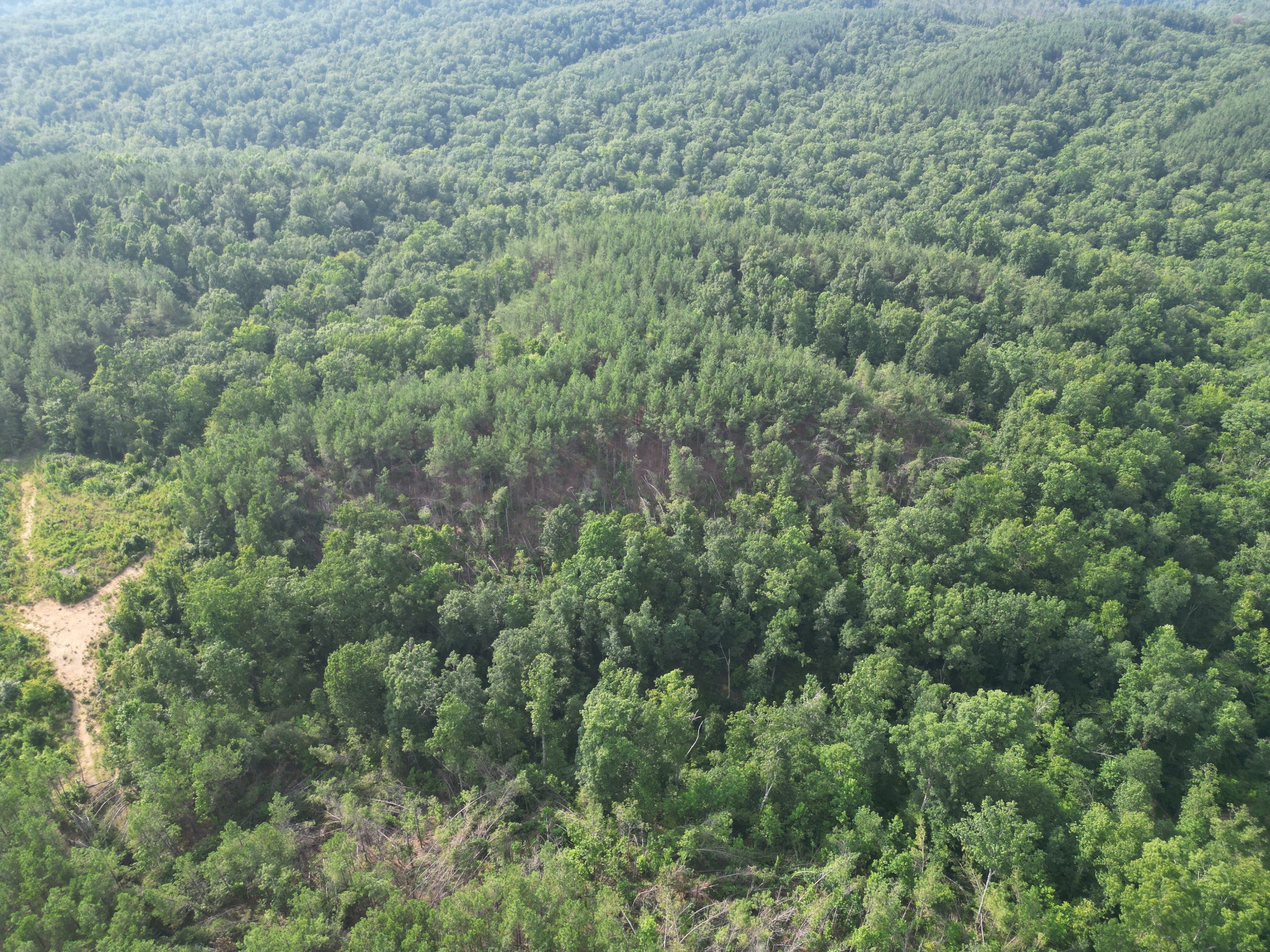 0 Toll Hollow Road Waynesboro, TN 38485 - Photo 28 of 43