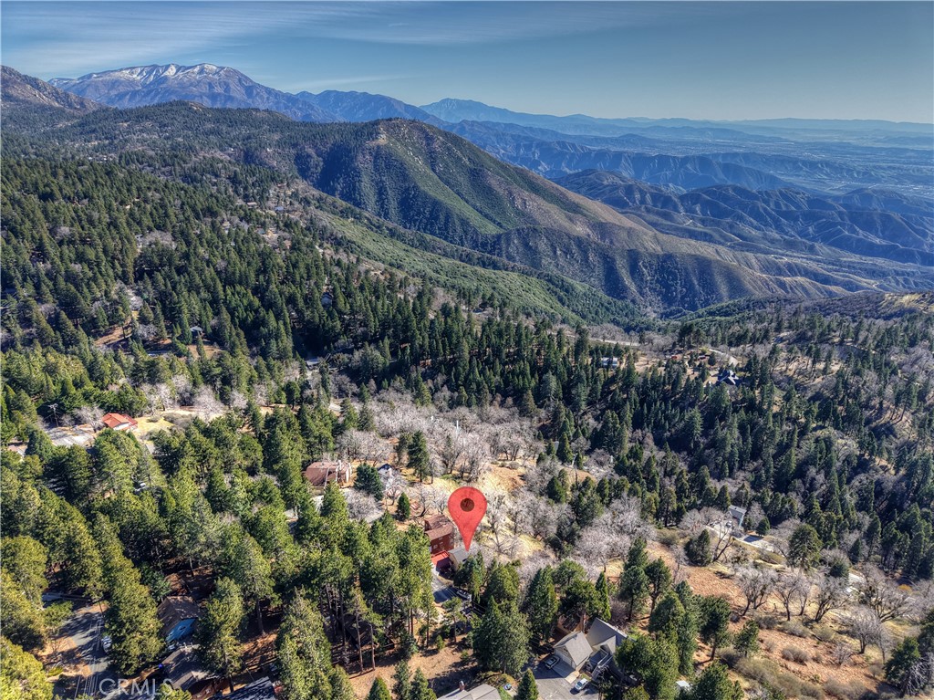 2477 Spring Oak Drive Running Springs, CA 92382 - Photo 46 of 51 a view of a area with a yard