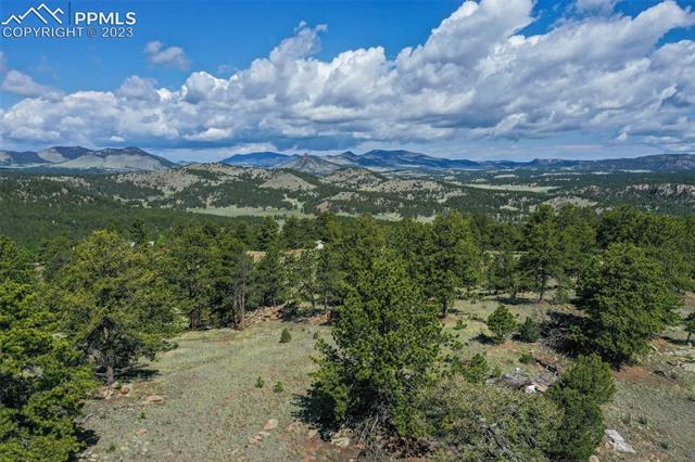 195 Pike View Road Florissant, CO 80816 - Photo 3 of 11