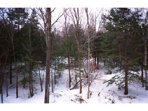 247 Buckley Road Weare, NH 03281 - Photo 4 of 8