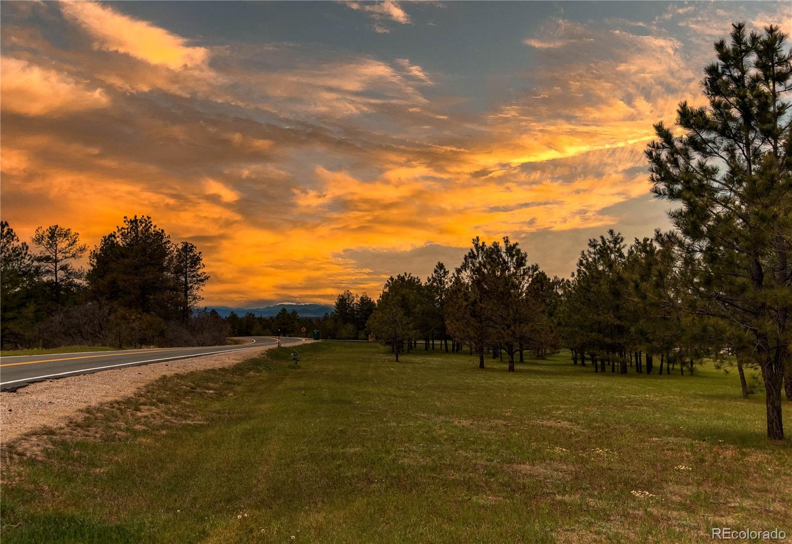 10393 Deerfield Road Franktown, CO 80116 - Photo 3 of 47