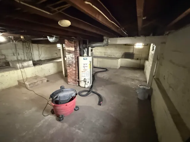 a view of a dry yard with large trees