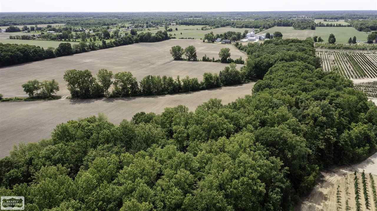 31 31 Mile Road New Haven, MI 48050 - Photo 3 of 10