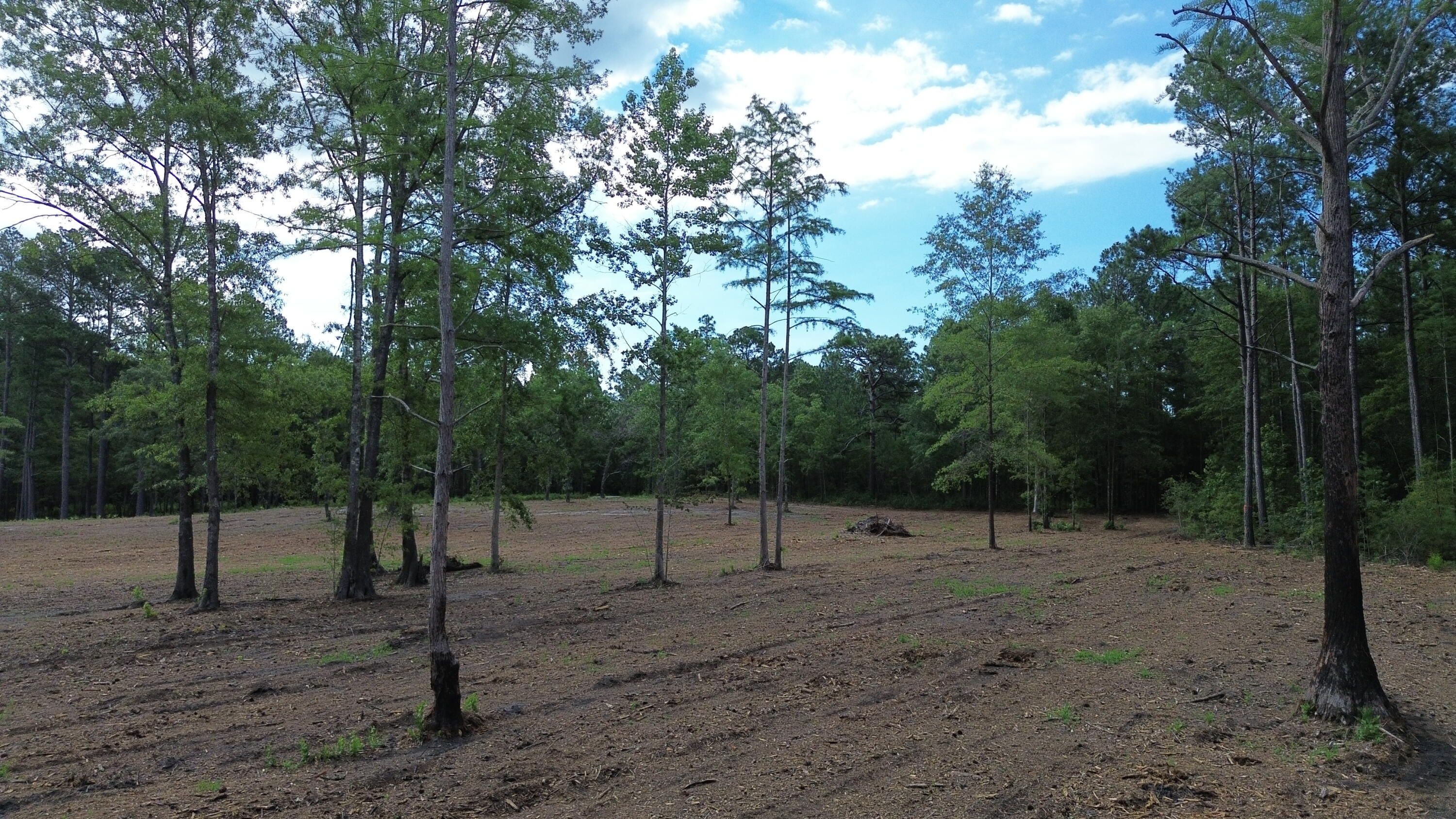 2 Trojan Road Cross, SC 29436 - Photo 10 of 17