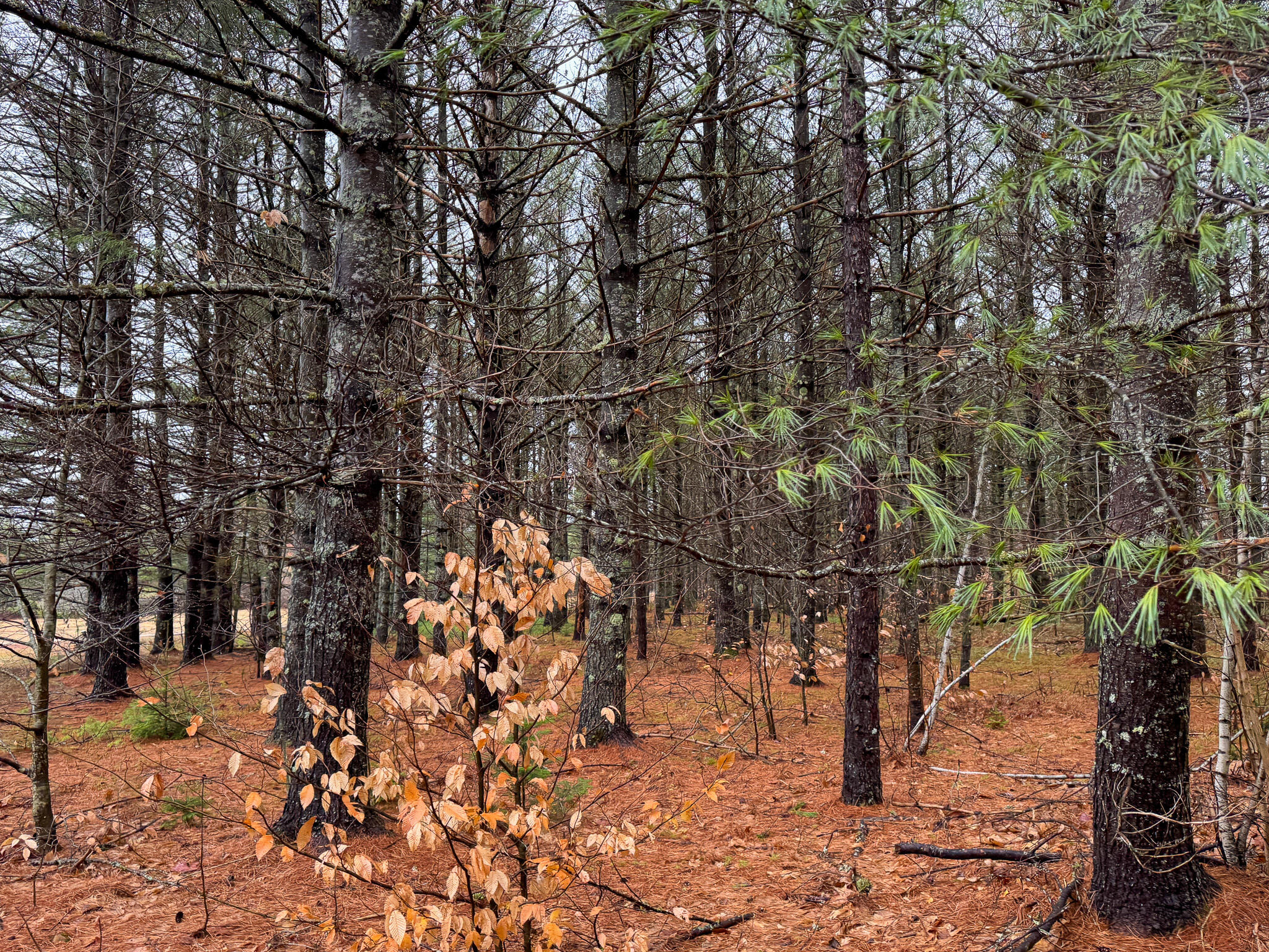 43 Fleming Road Bethel, ME 04217 - Photo 45 of 45 45