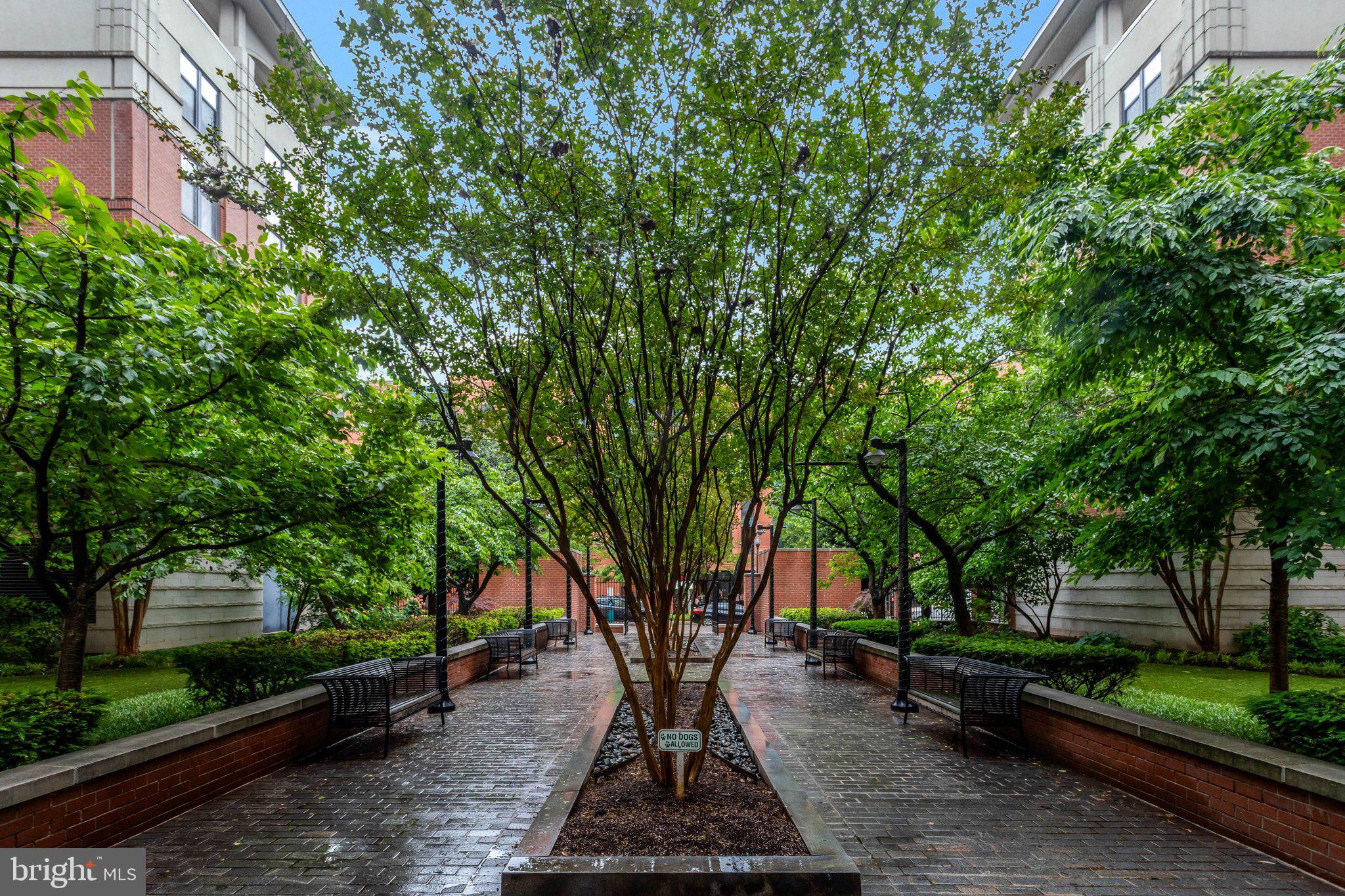 1021 North Garfield Street, Unit 315 Arlington, VA 22201 - Photo 41 of 43 Back of building w/quiet treed courtyard