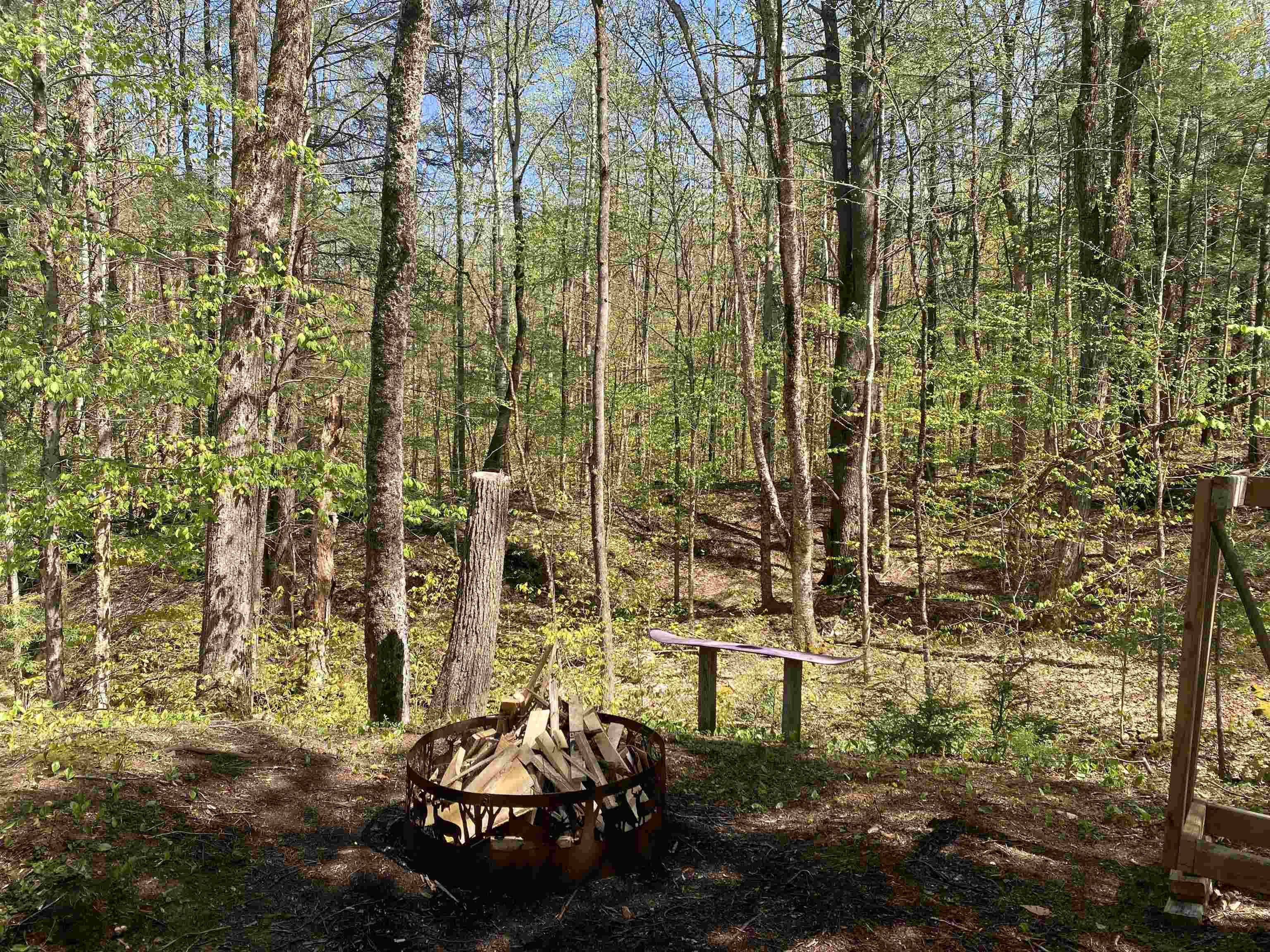 555 Pennel Hill Road Halifax, VT 05342 - Photo 8 of 18