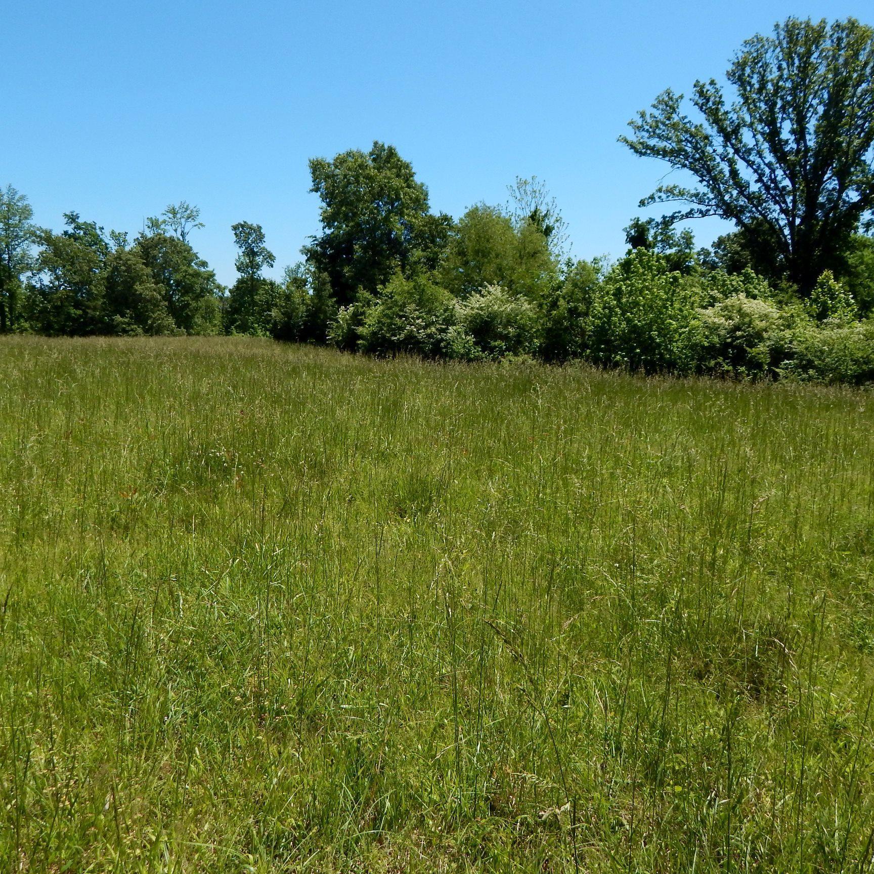 224 Arkabutla Dam Road Coldwater, MS 38618 - Photo 5 of 22 Gallery Image 5