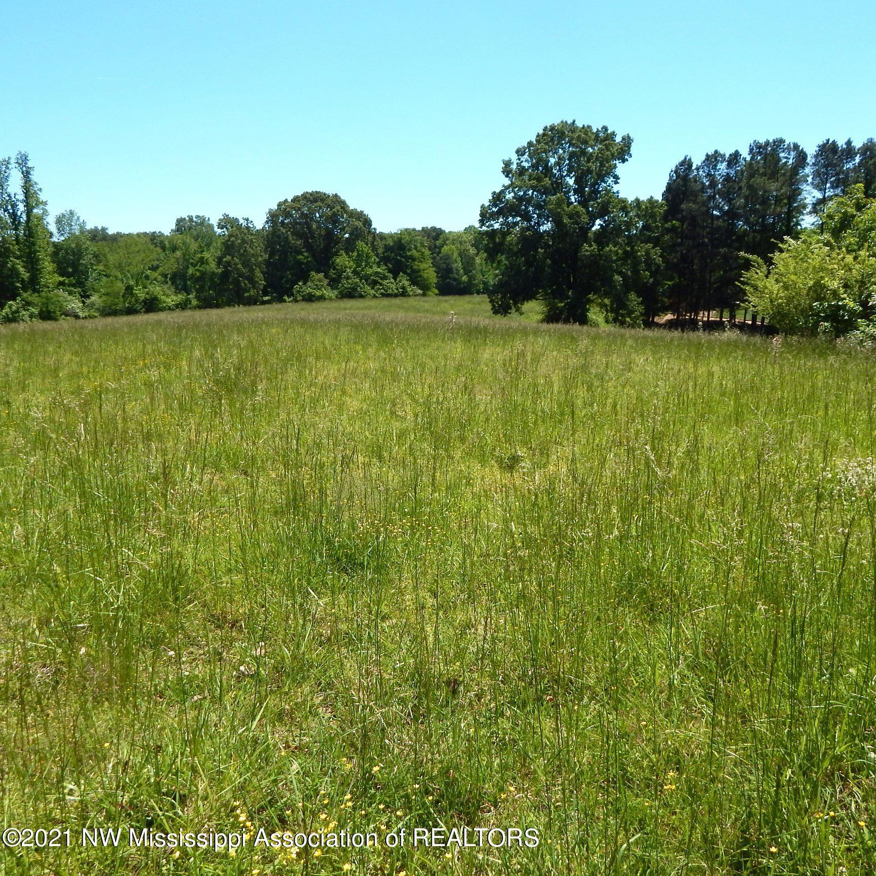 224 Arkabutla Dam Road Coldwater, MS 38618 - Photo 7 of 22 Gallery Image 7