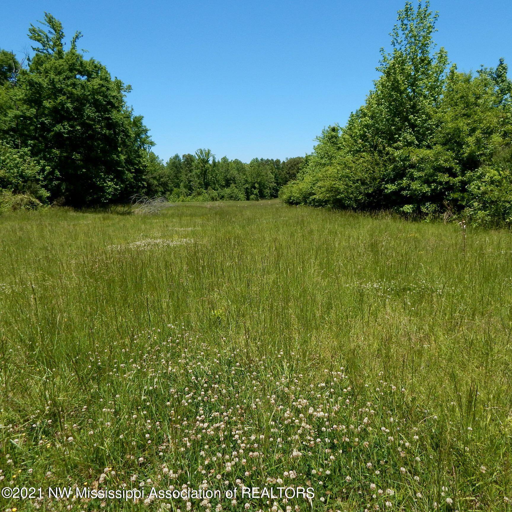 224 Arkabutla Dam Road Coldwater, MS 38618 - Photo 8 of 22 Gallery Image 8