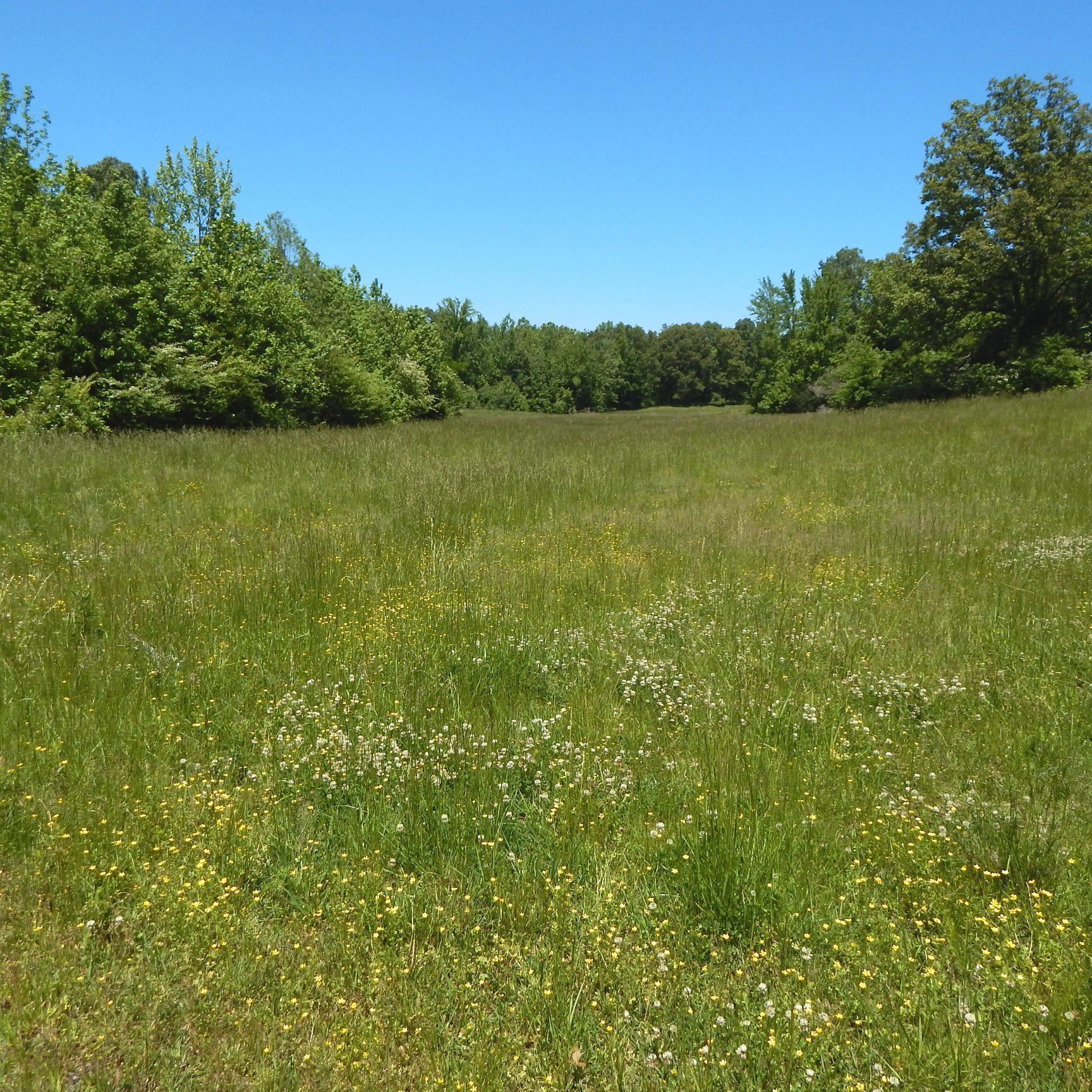 224 Arkabutla Dam Road Coldwater, MS 38618 - Photo 10 of 22 Gallery Image 10