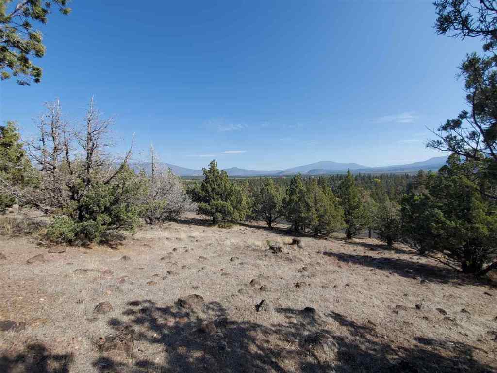 152 Dwinnell Road Weed, CA 96094 - Photo 5 of 26 Gallery Image 5