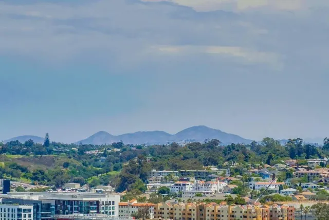 $2,995 | 321 Tenth Avenue, Unit 2103, San Diego, CA 92101