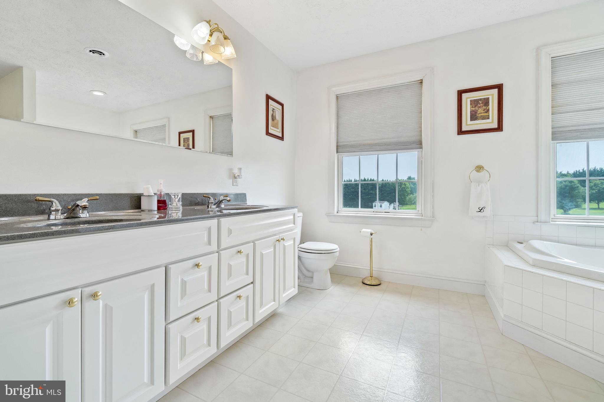 66 Jumpgate Loop Elkton, MD 21921 - Photo 22 of 31 Spacious primary bathroom