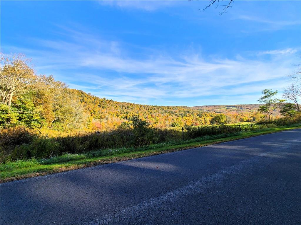 Keller Road Callicoon Center, NY 12724 - Photo 1 of 1 Gallery Image 1