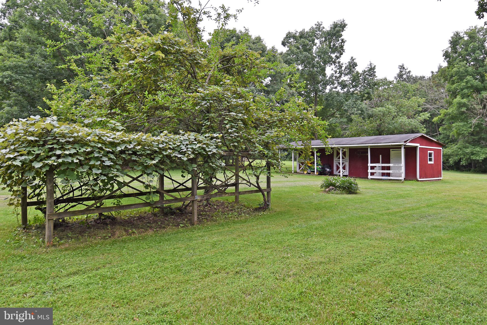 3615 Dumfries Road Catlett, VA 20119 - Photo 5 of 30 Grape vine...and 2 stall stable!