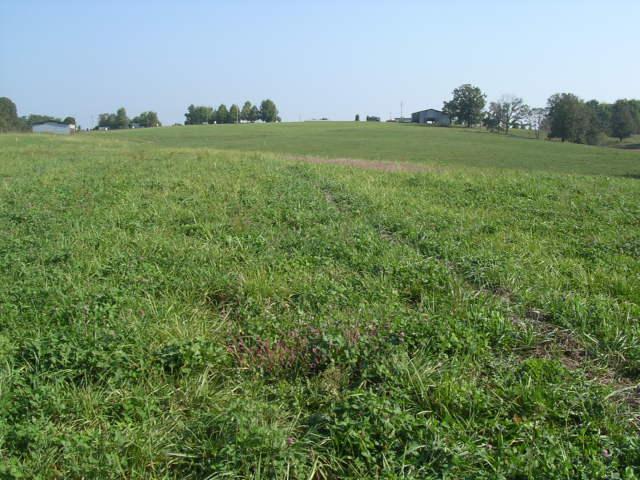 6 Underwood Road Bethpage, TN 37022 - Photo 1 of 4