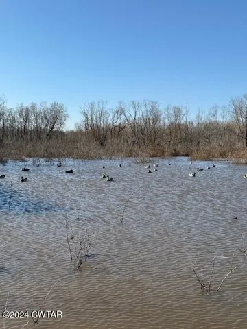 a view of an outdoor space