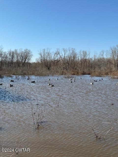 0 Fry Road Cedar Grove, TN 38321 - Photo 1 of 22 a view of an outdoor space