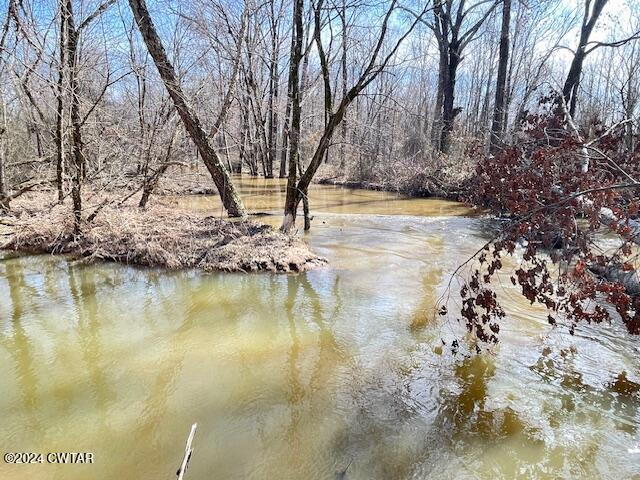 0 Fry Road Cedar Grove, TN 38321 - Photo 12 of 22 a view of lake view