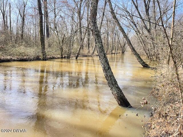 0 Fry Road Cedar Grove, TN 38321 - Photo 13 of 22 a view of swimming pool
