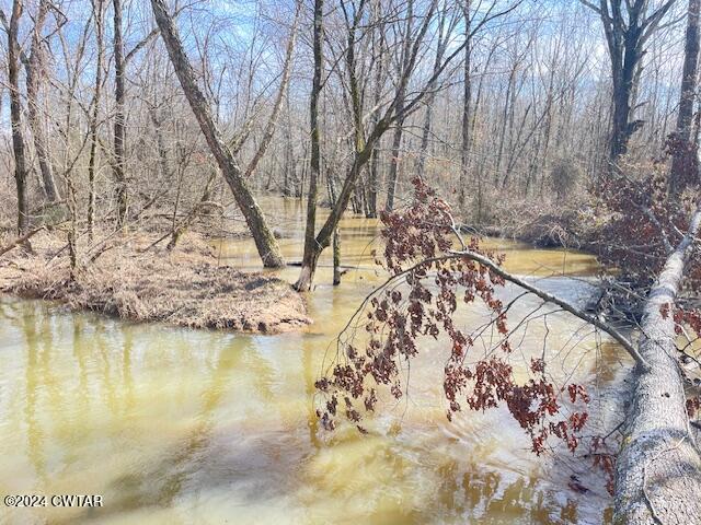 0 Fry Road Cedar Grove, TN 38321 - Photo 14 of 22 a view of swimming pool with a yard