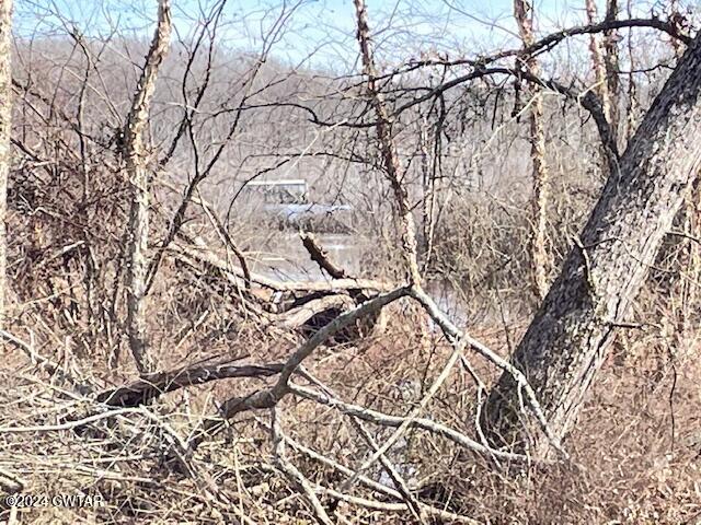 0 Fry Road Cedar Grove, TN 38321 - Photo 15 of 22 a picture of tree