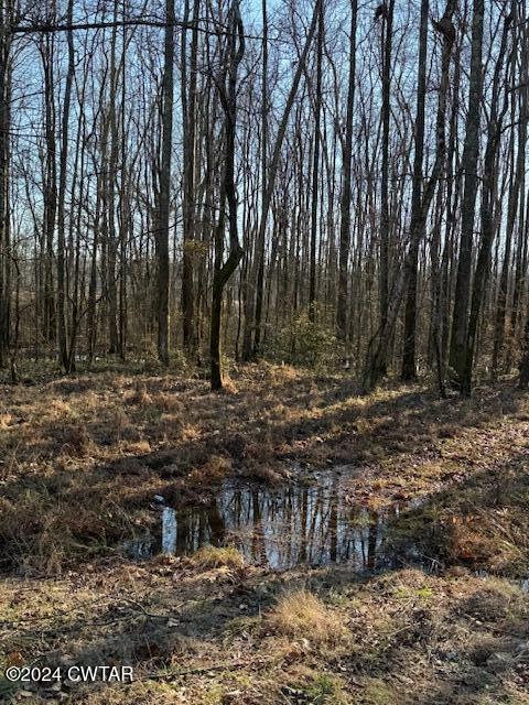 0 Fry Road Cedar Grove, TN 38321 - Photo 16 of 22 a view of a yard with large trees