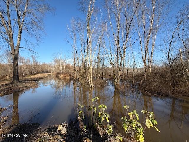 0 Fry Road Cedar Grove, TN 38321 - Photo 17 of 22 a view of lake with green space