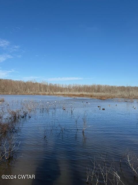 0 Fry Road Cedar Grove, TN 38321 - Photo 18 of 22 a view of lake view and mountain view