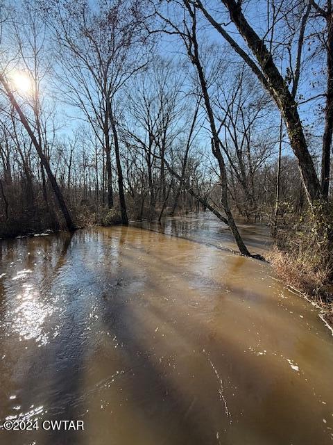 0 Fry Road Cedar Grove, TN 38321 - Photo 19 of 22 a view of a yard with a tree