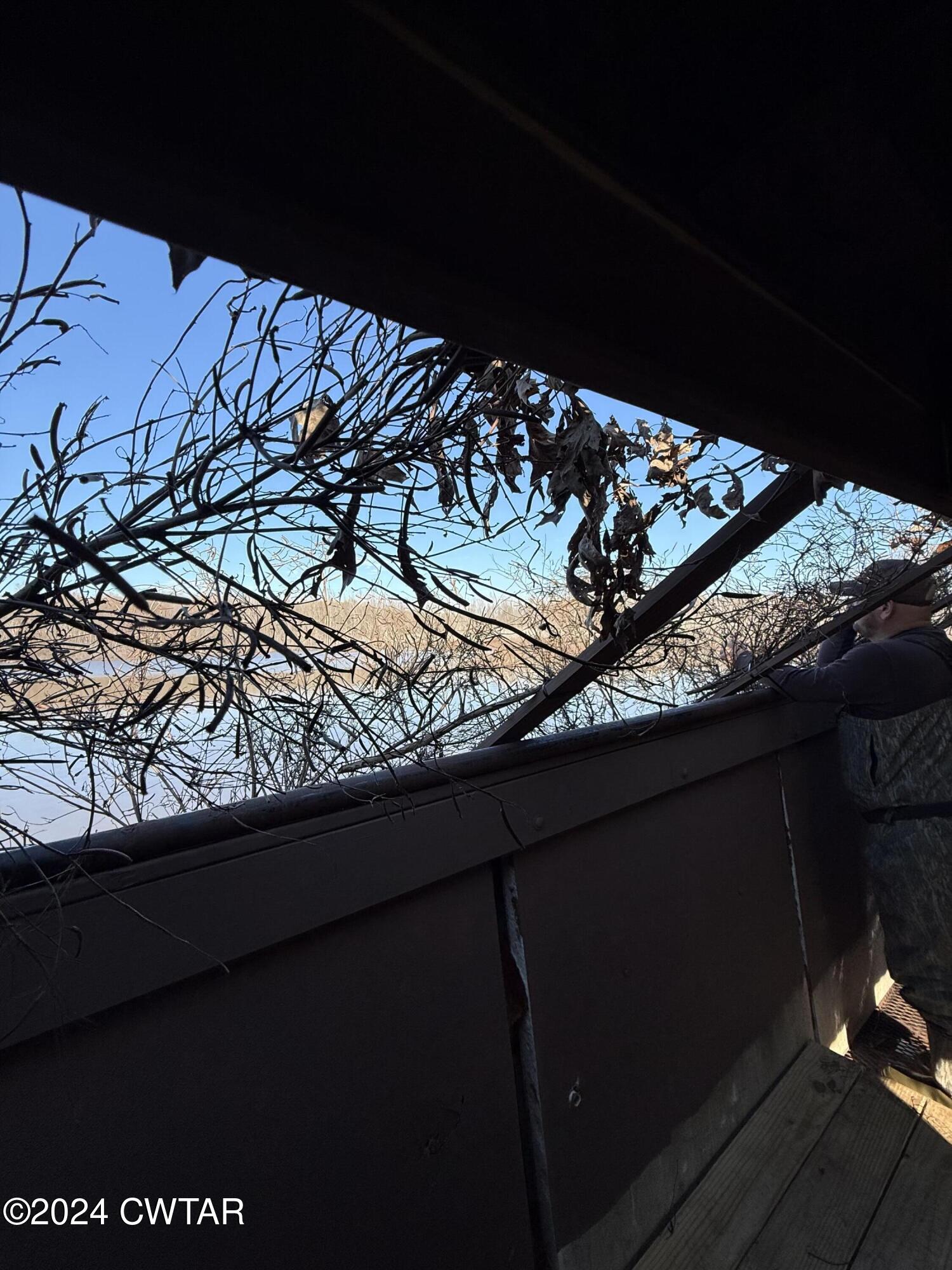 0 Fry Road Cedar Grove, TN 38321 - Photo 20 of 22 a view of a backyard