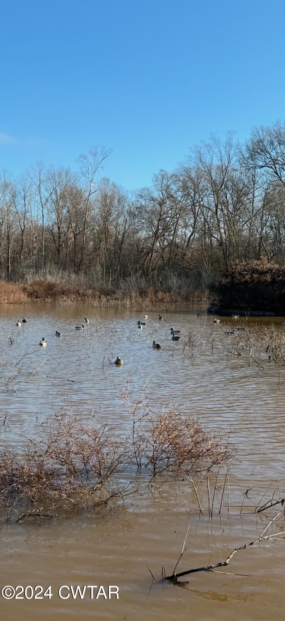 0 Fry Road Cedar Grove, TN 38321 - Photo 2 of 22 a view of a lake view