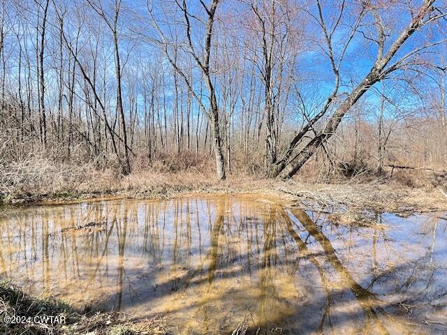 0 Fry Road Cedar Grove, TN 38321 - Photo 4 of 22 a view of yard covered with snow