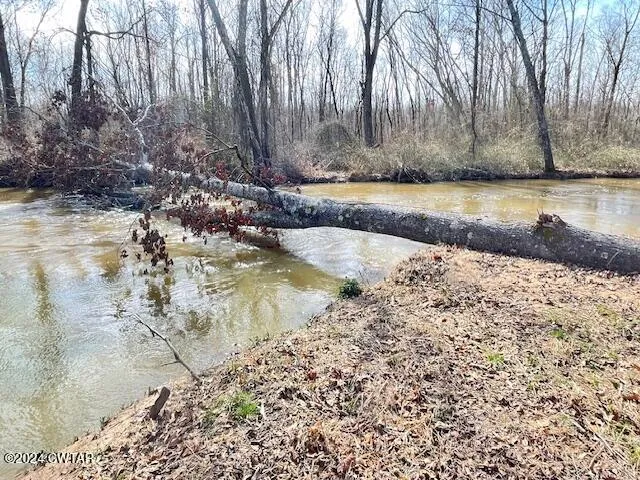 a view of a water pond with trees