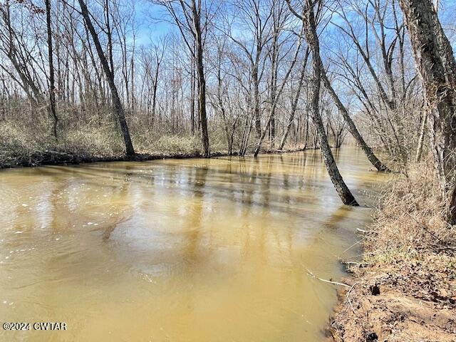 0 Fry Road Cedar Grove, TN 38321 - Photo 9 of 22 a view of a yard