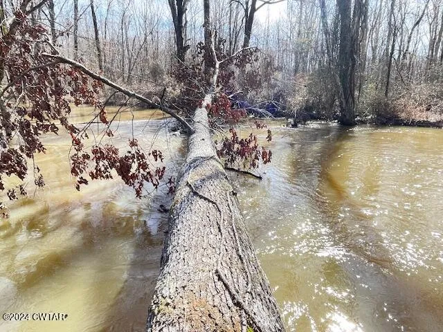 a view of swimming pool with an outdoor space