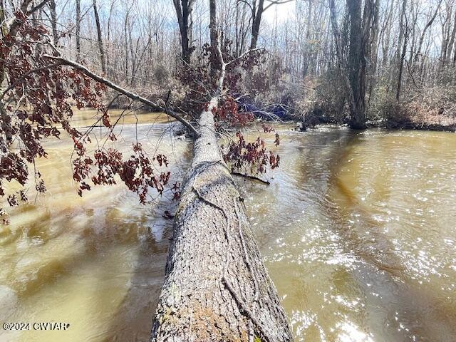 0 Fry Road Cedar Grove, TN 38321 - Photo 10 of 22 a view of swimming pool with an outdoor space