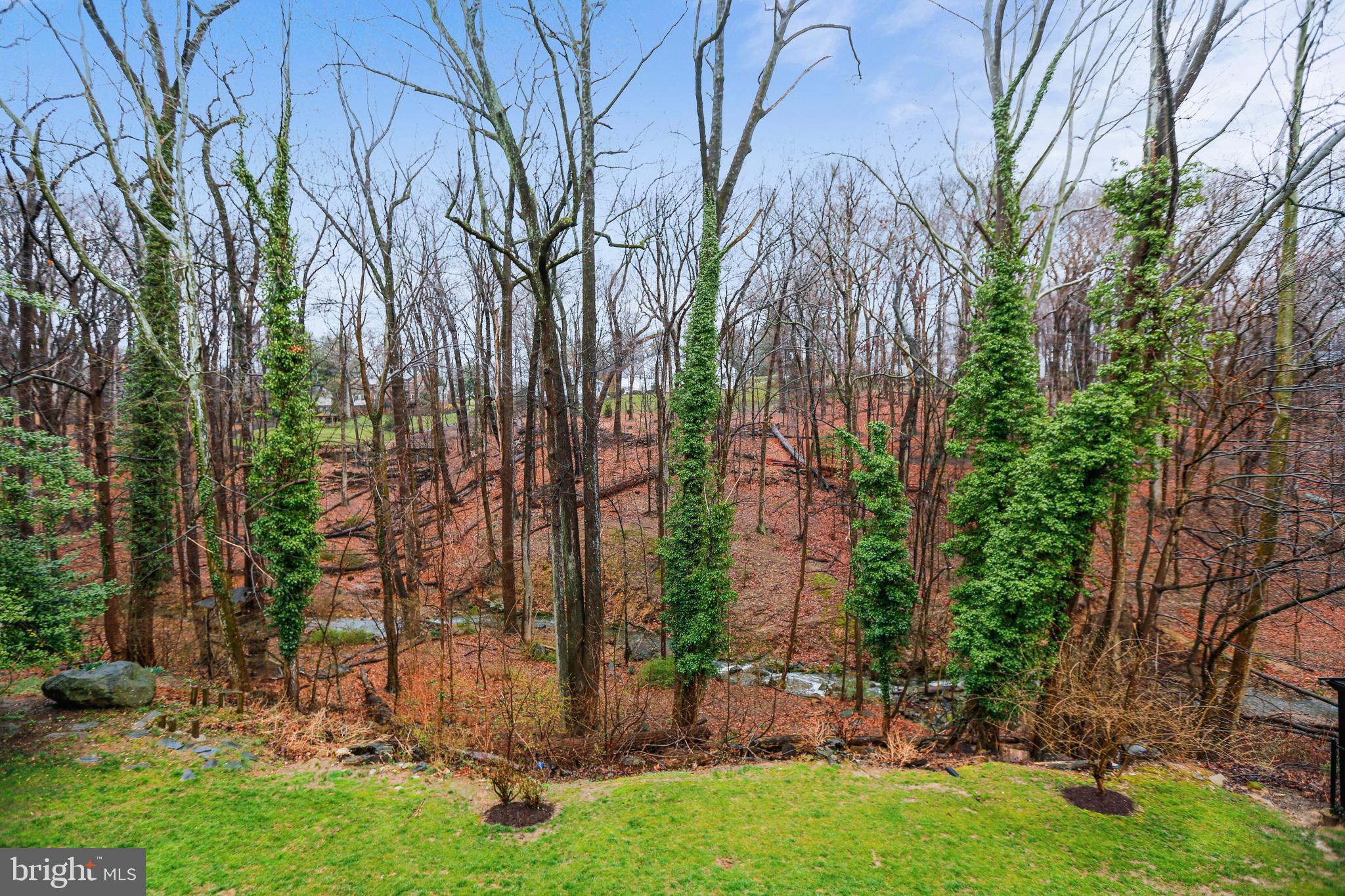 10701 Meadowhill Road Silver Spring, MD 20901 - Photo 71 of 82 Gallery Image 71