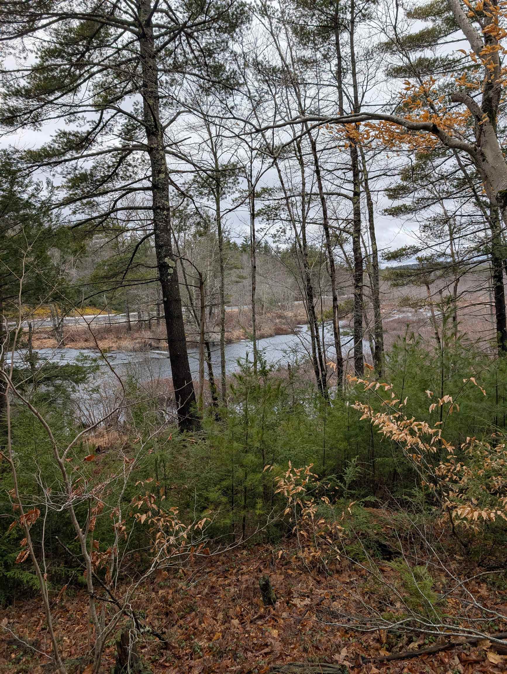 5-003 Greenfield Road Francestown, NH 03043 - Photo 14 of 44
