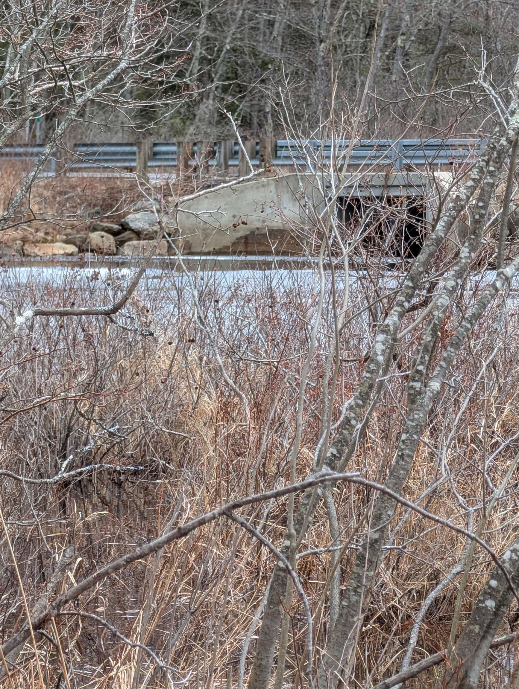 5-003 Greenfield Road Francestown, NH 03043 - Photo 39 of 44