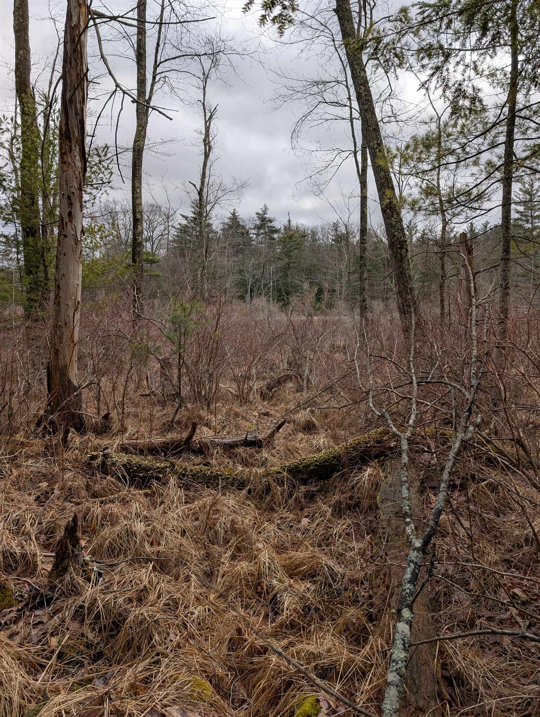 5-003 Greenfield Road Francestown, NH 03043 - Photo 5 of 44