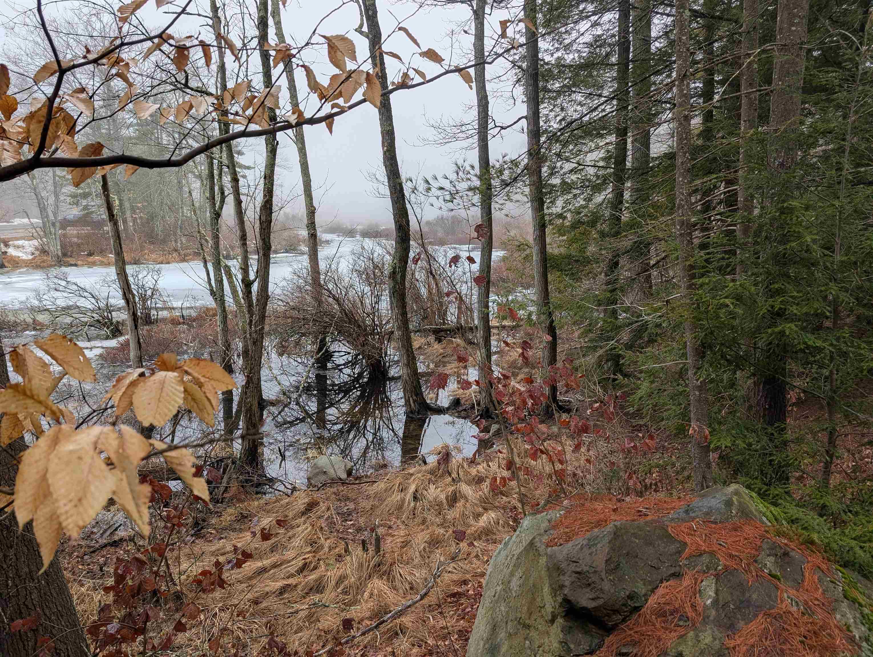 5-003 Greenfield Road Francestown, NH 03043 - Photo 6 of 44