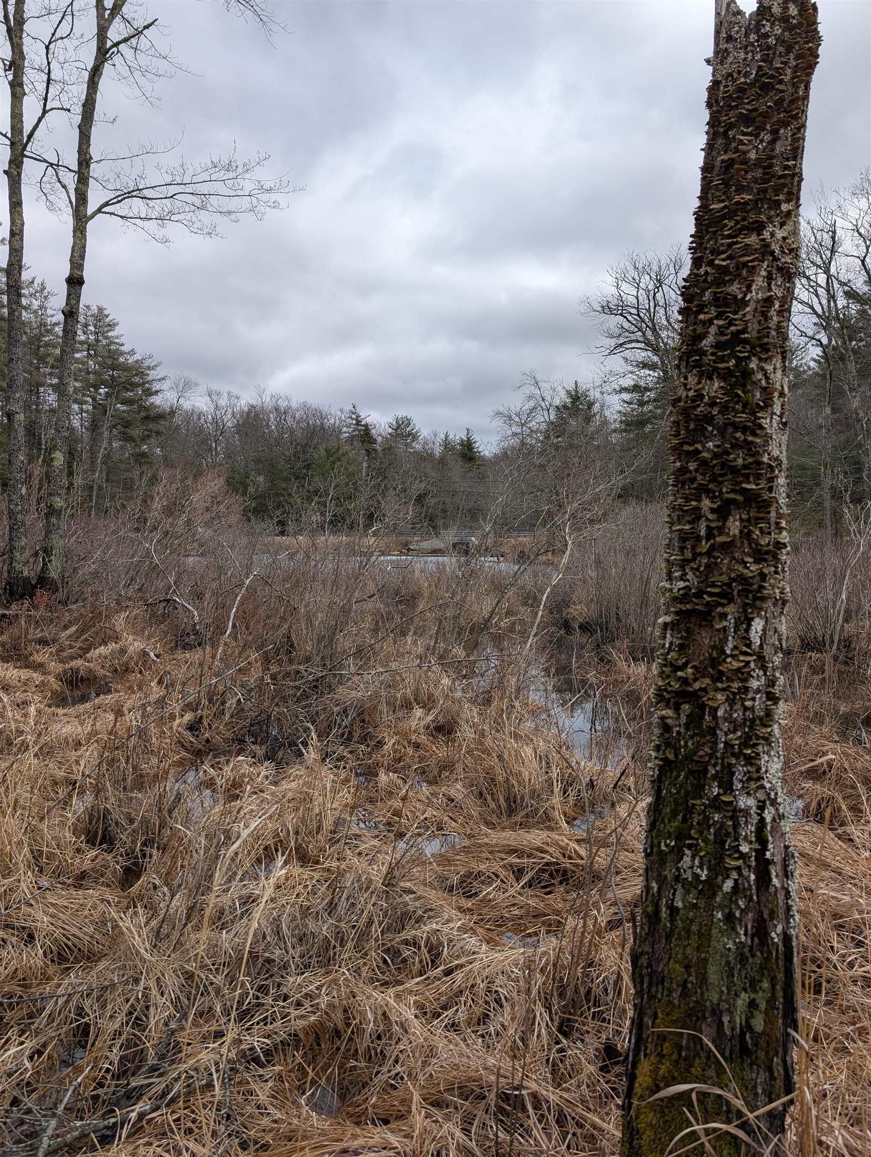 5-003 Greenfield Road Francestown, NH 03043 - Photo 9 of 44