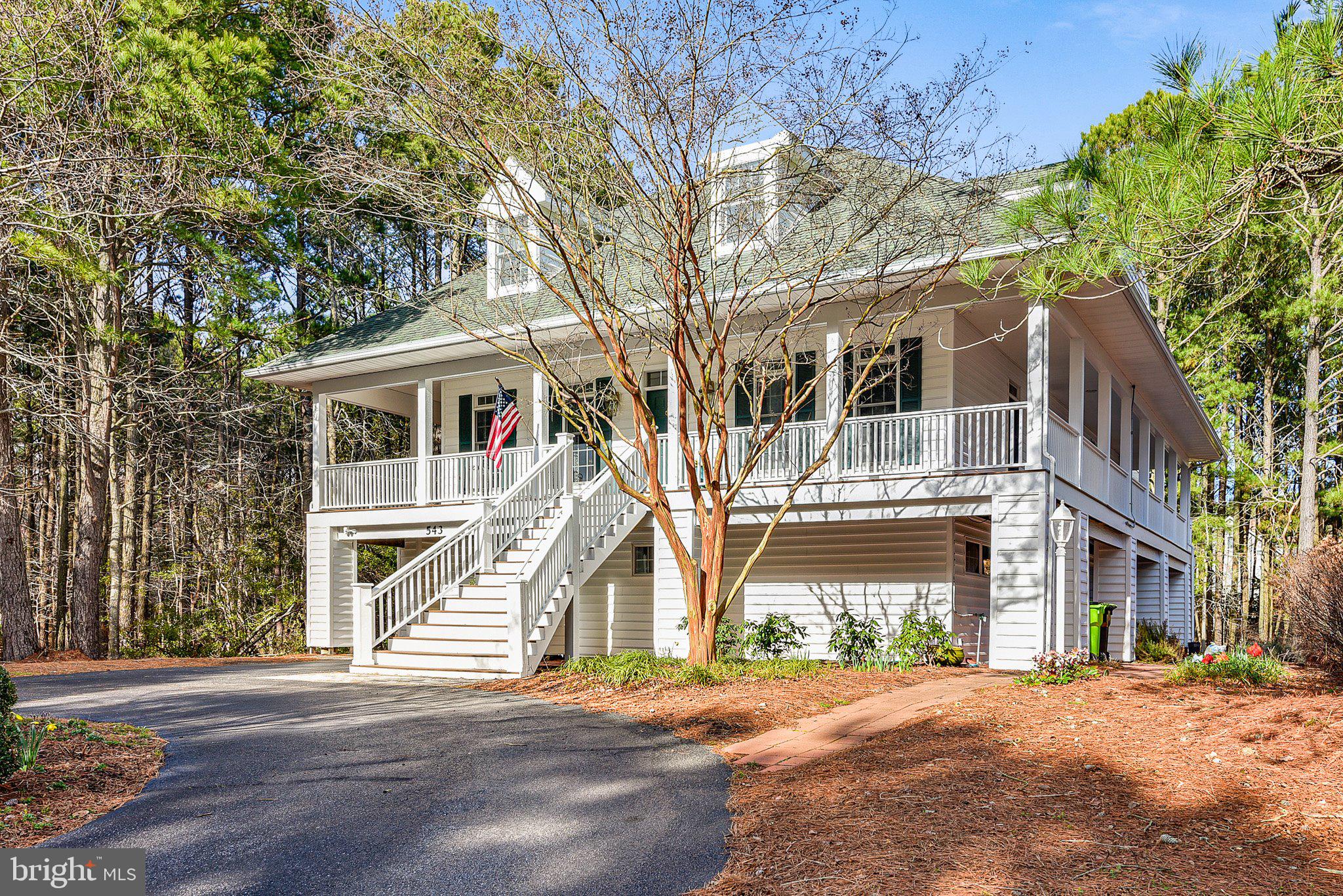 Are Dogs Allowed At Bethany Pond