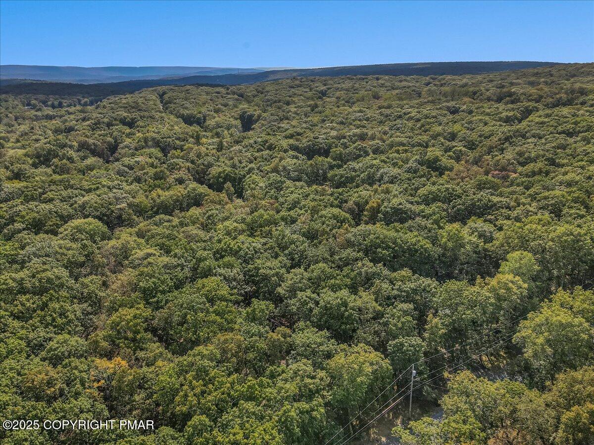 138 Badger Drive Bushkill, PA 18324 - Photo 38 of 44 47-Photo Sep 04 2025, 2 58 14 PM